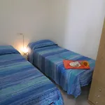 Adriatico بيبيوني